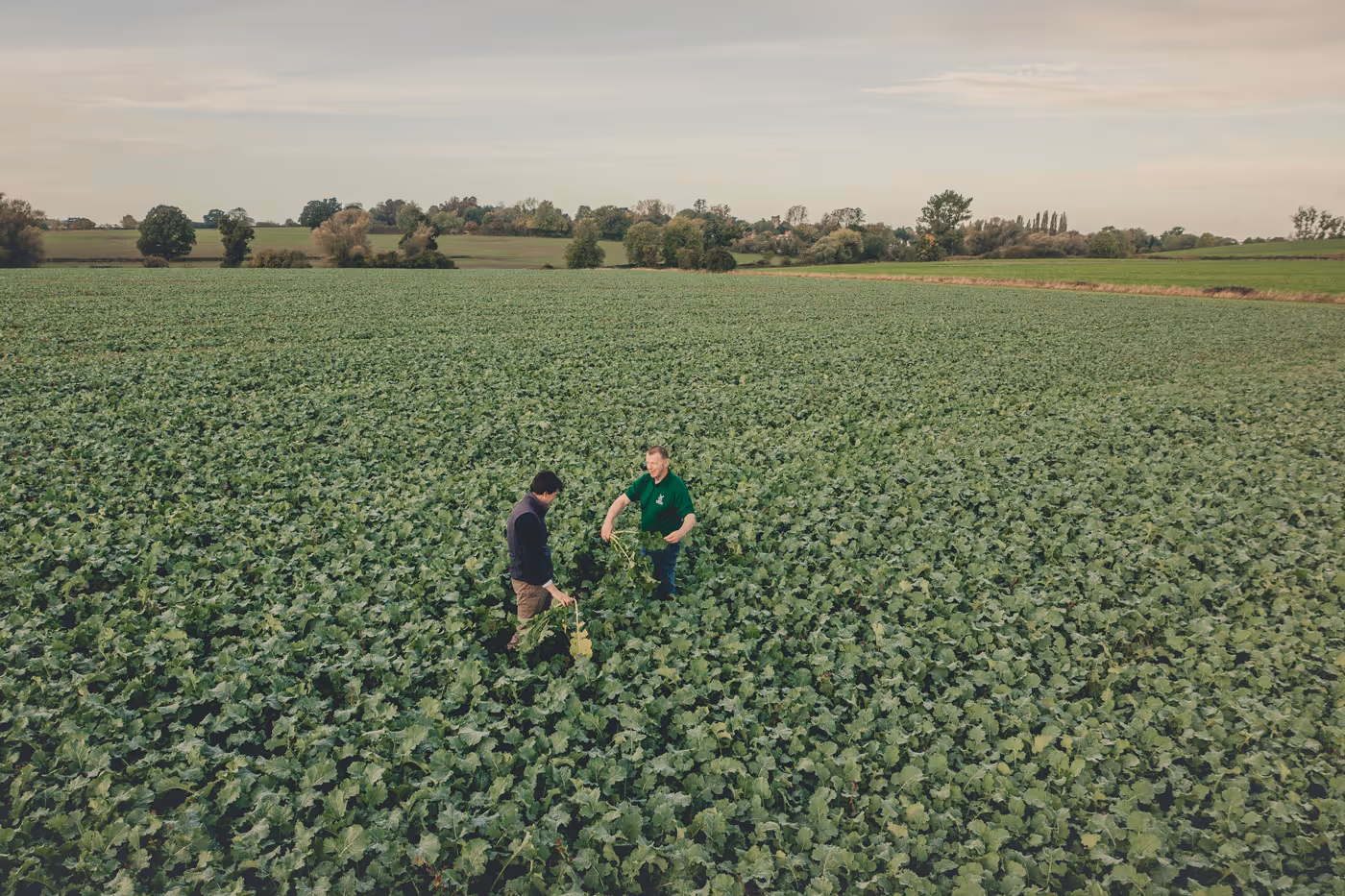 Sustainable Farming Incentive